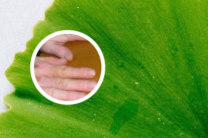 茴香正气水能治疗白癜风吗