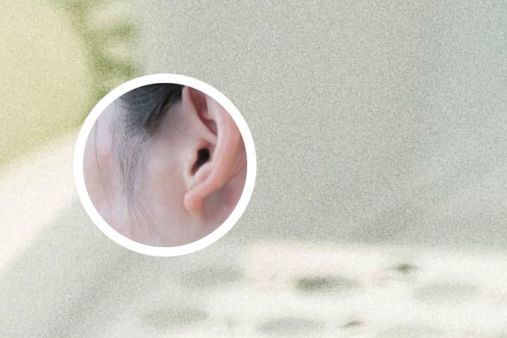 患了白癜风多吃什么好